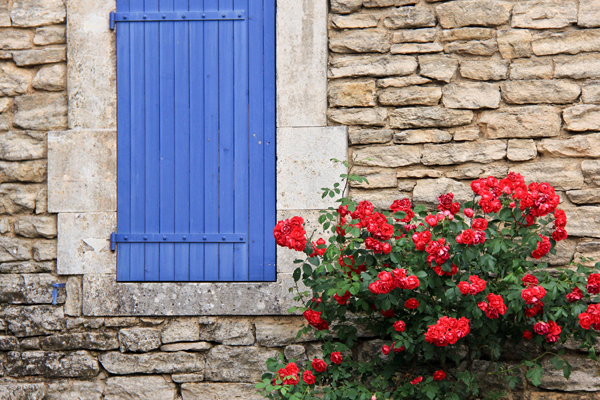 Blue shutter with red roses